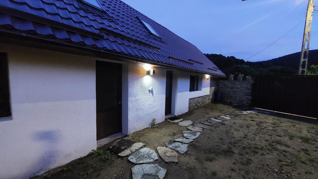 Вилла Casa Noua Саска-Монтанэ Экстерьер фото