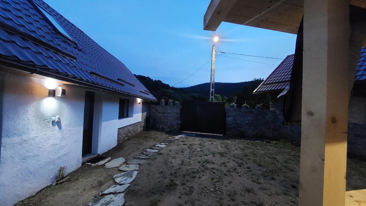 Вилла Casa Noua Саска-Монтанэ Экстерьер фото