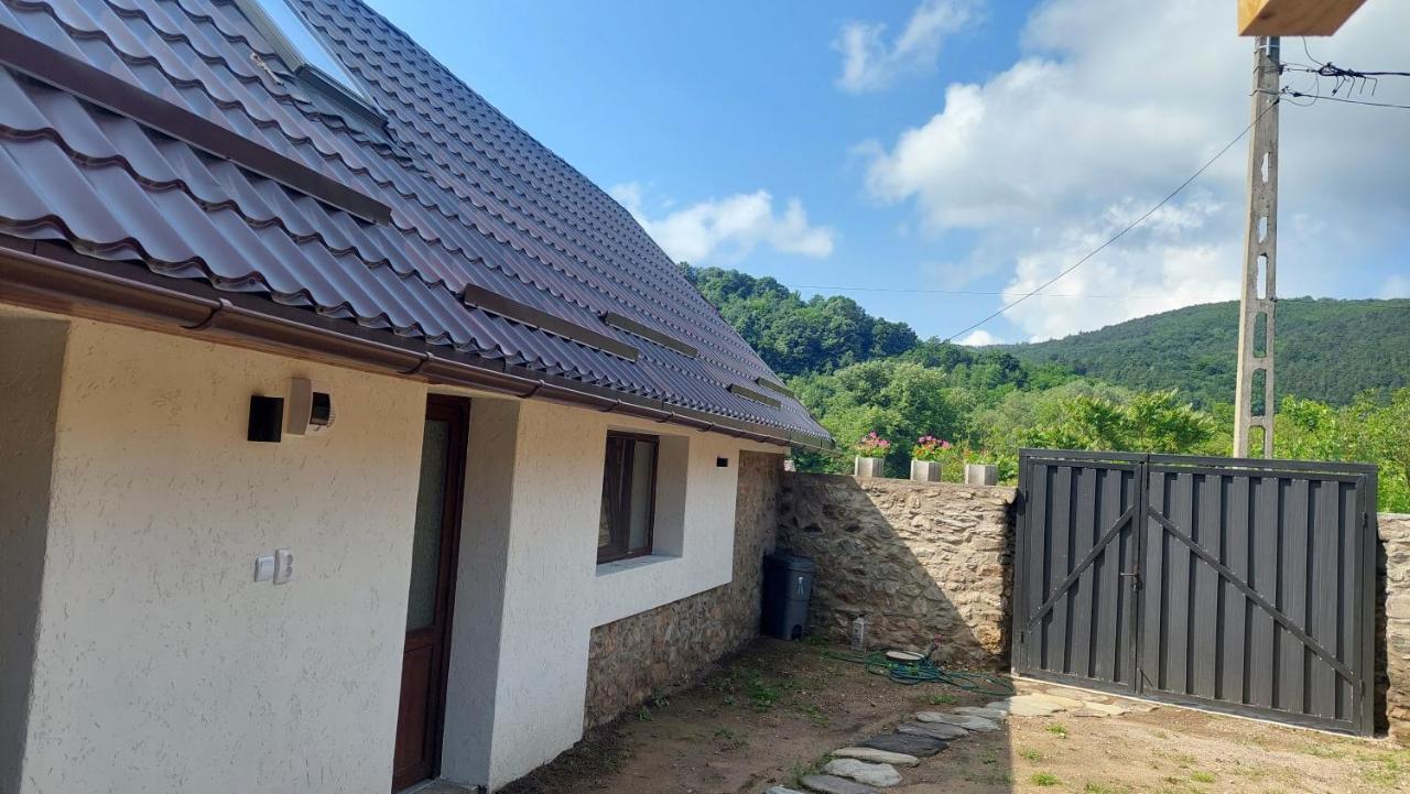 Вилла Casa Noua Саска-Монтанэ Экстерьер фото