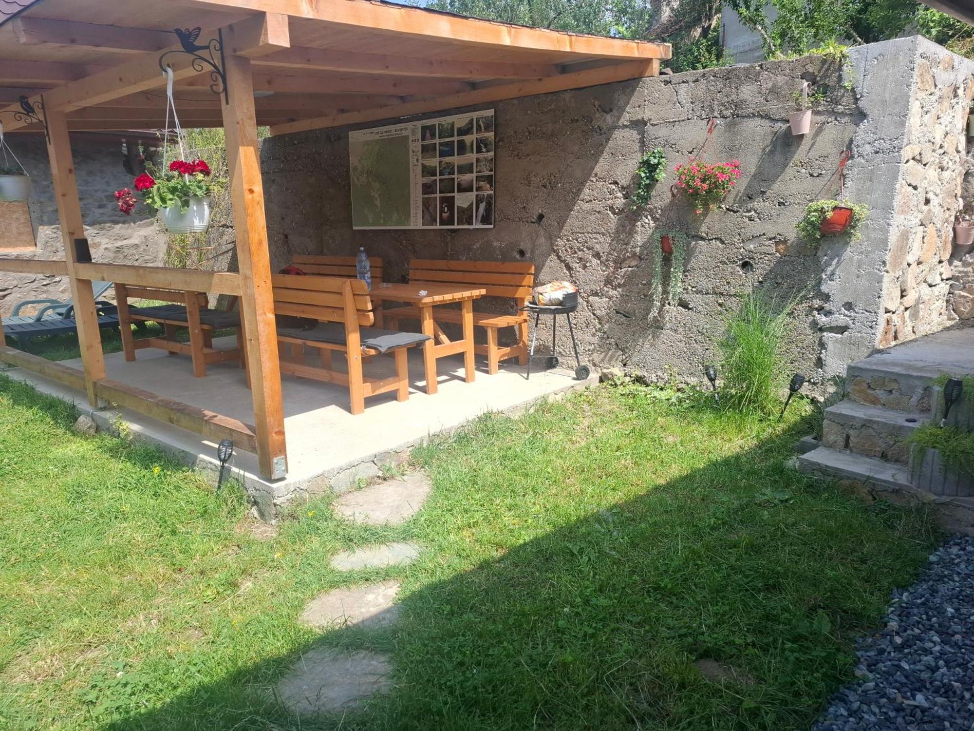 Вилла Casa Noua Саска-Монтанэ Экстерьер фото